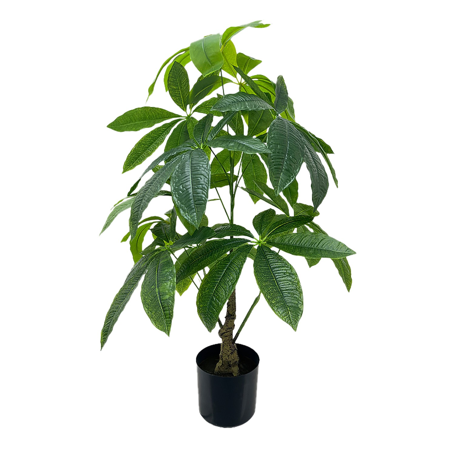 35693-planta-arbol-de-la-fortuna-90-cm.jpg
