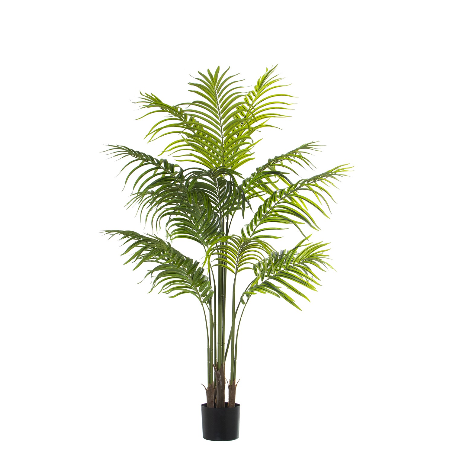 36172-planta-pu-palmera-150cm.jfif